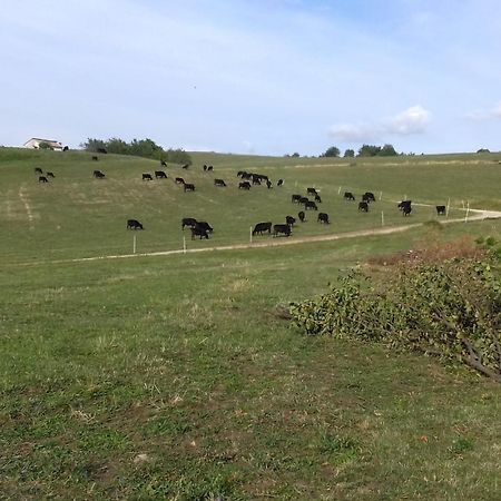 Agriturismo Preele Villa Ferrara di Monte Baldo Eksteriør billede