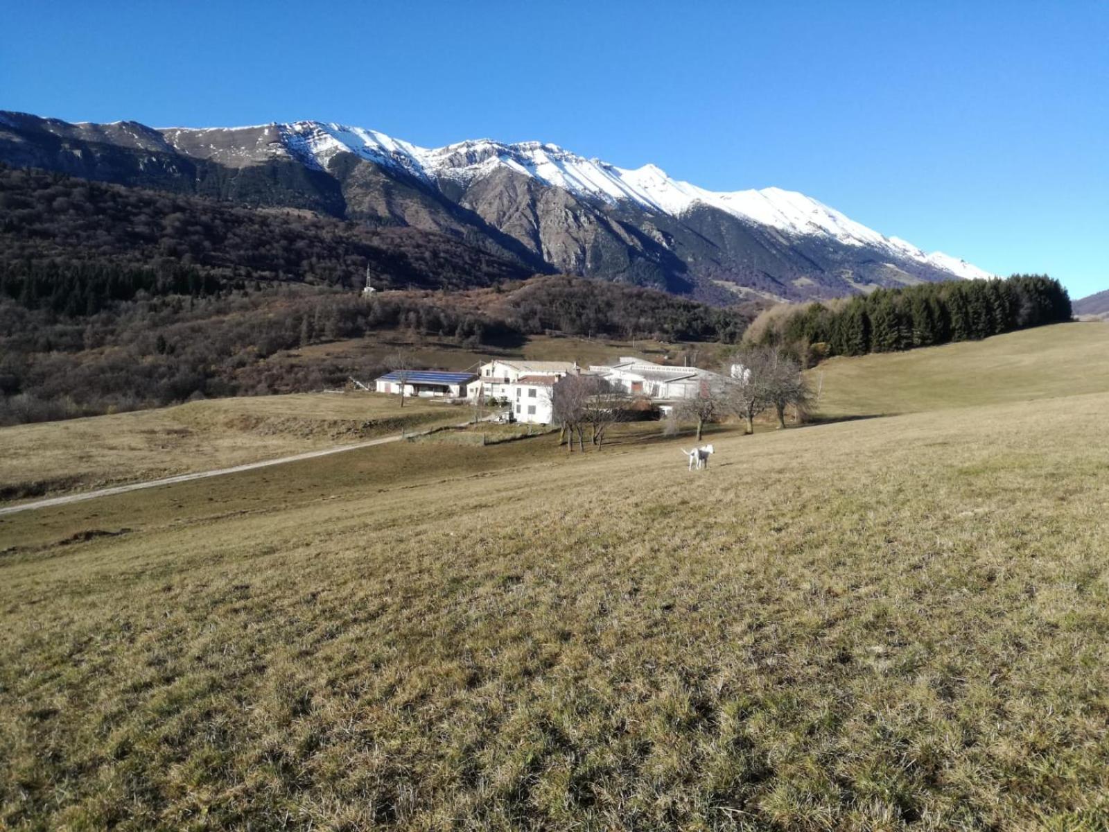 Agriturismo Preele Villa Ferrara di Monte Baldo Eksteriør billede