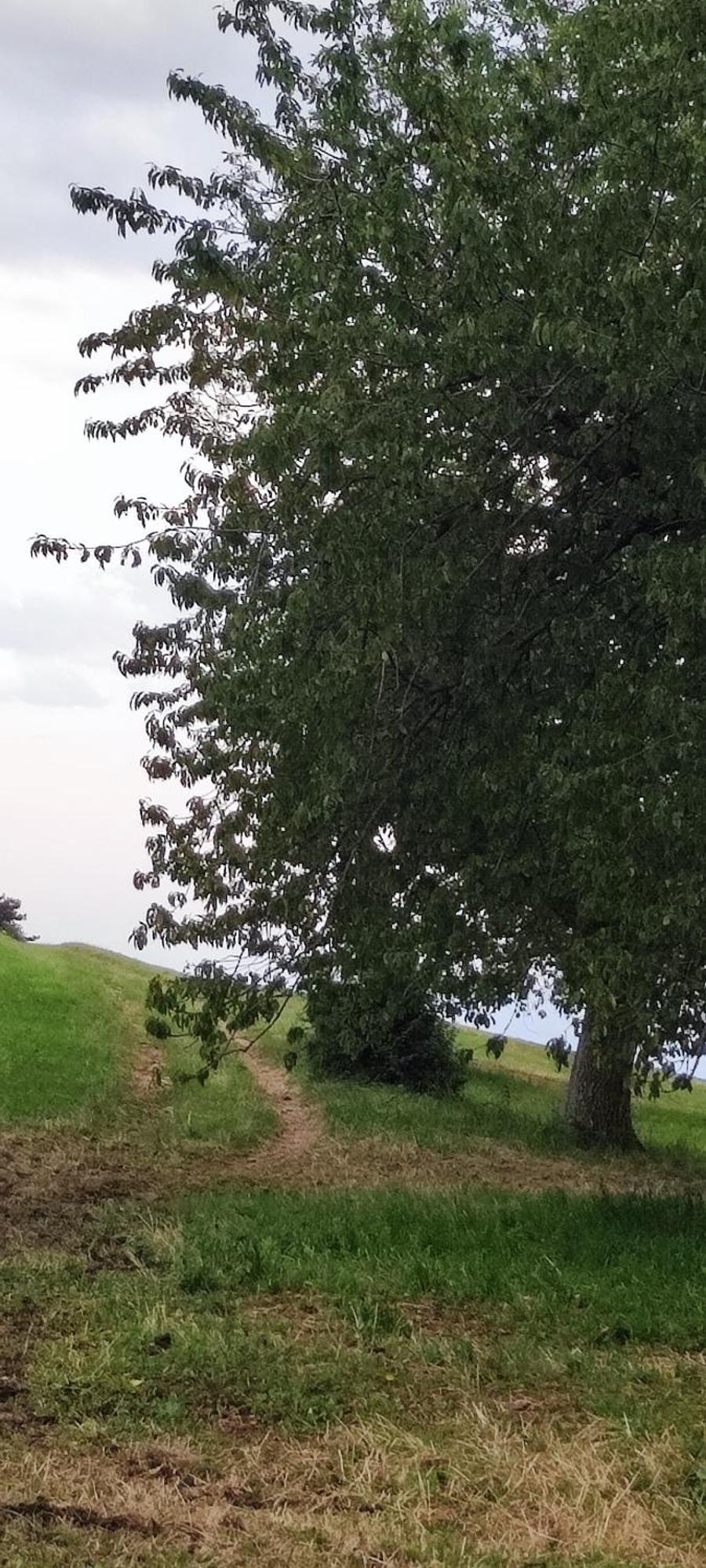 Agriturismo Preele Villa Ferrara di Monte Baldo Eksteriør billede